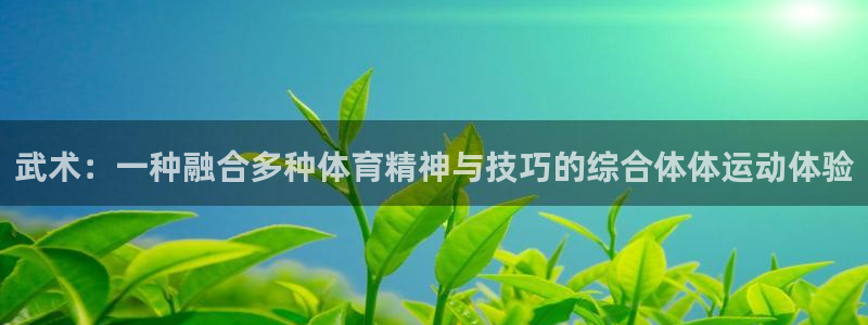 三亿体育网页版：武术：一种融合多种体育精神与技巧的综合体体运动体验