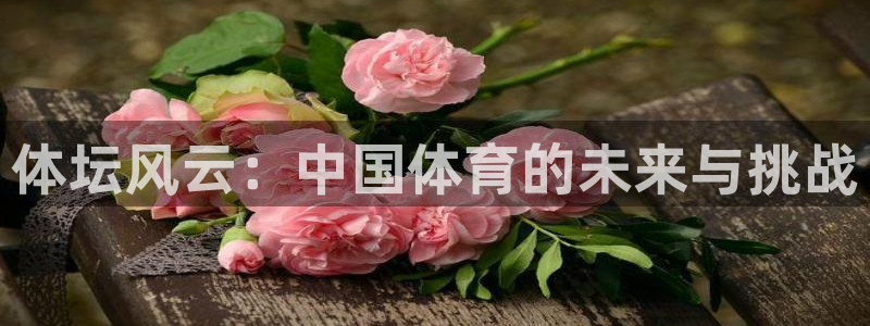 三亿体育网页版：体坛风云：中国体育的未来与挑战